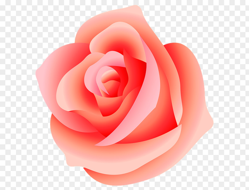 Rose Clip Art PNG