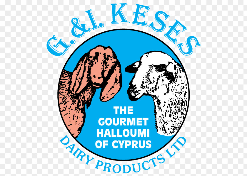 Sheep Halloumi Goat Cheese Cyprus PNG