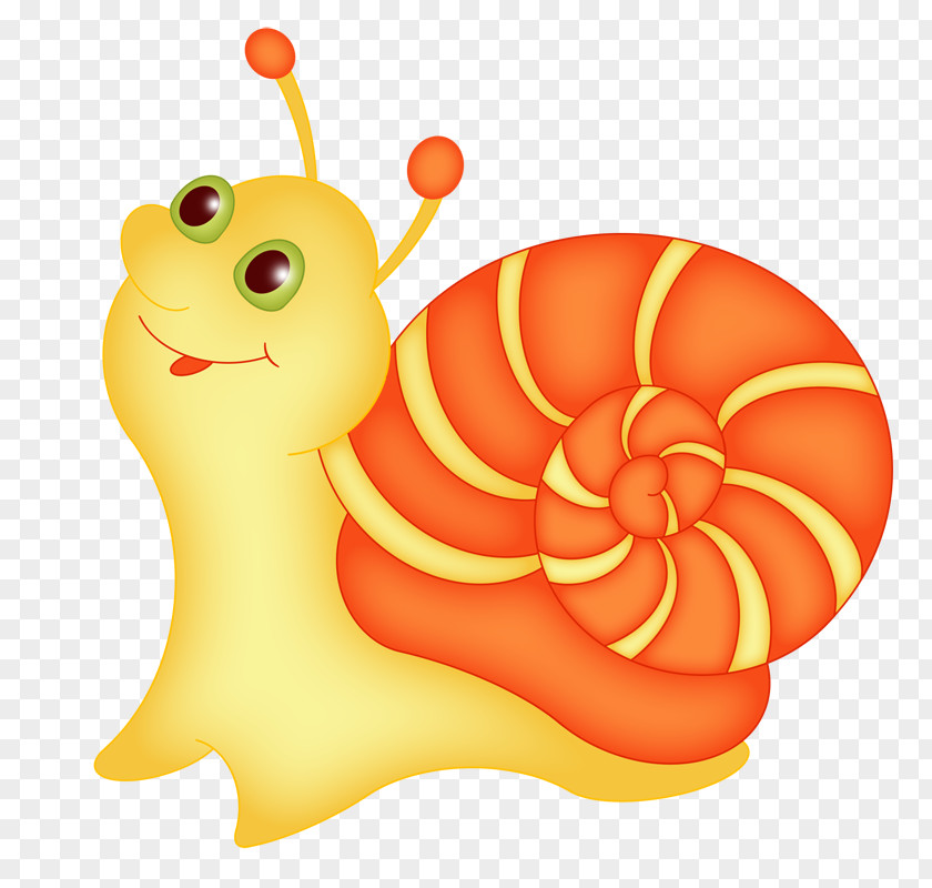 Snail The Cartoon Little Drawing PNG
