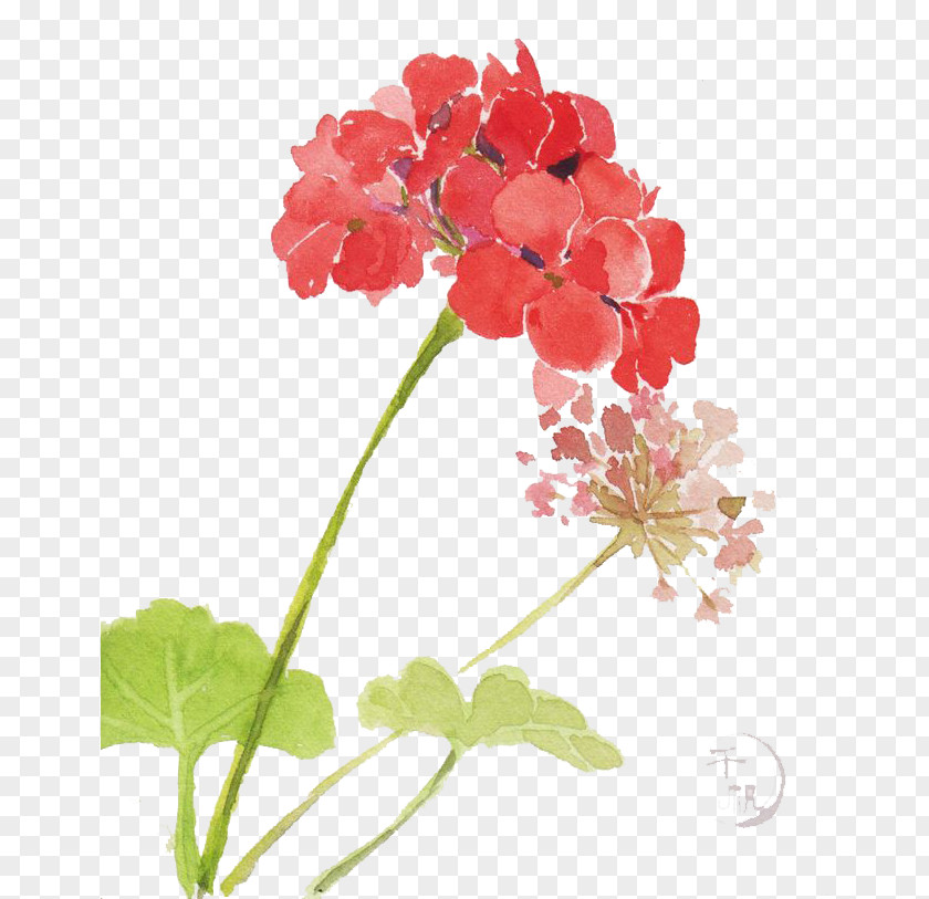 Watercolor Flowers PNG