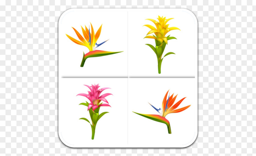 All Vector Cut Flowers Plant Stem Leaf Petal Clip Art PNG