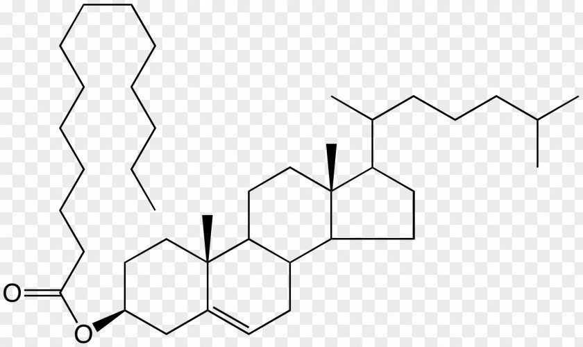 Dehydroepiandrosterone Sulfate Adrenal Cortex Steroid Hormone PNG
