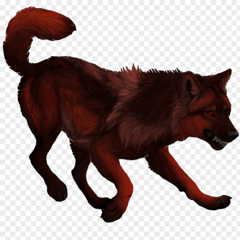 Dog Red Fox Image Design PNG