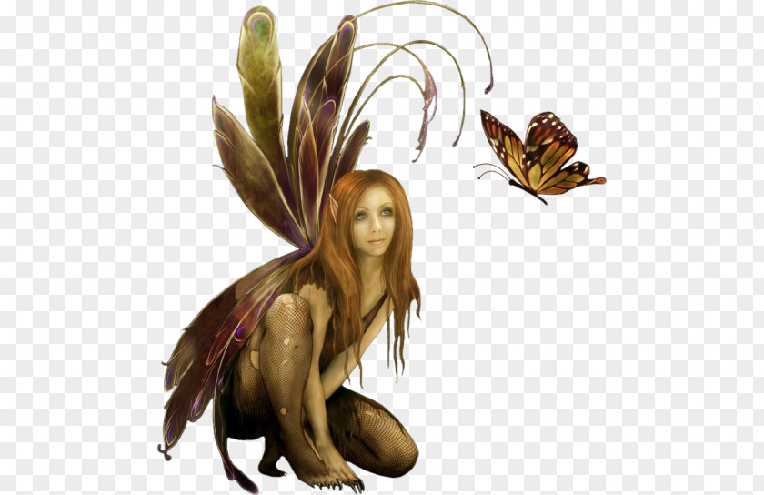 Fairy Elf Woman PNG