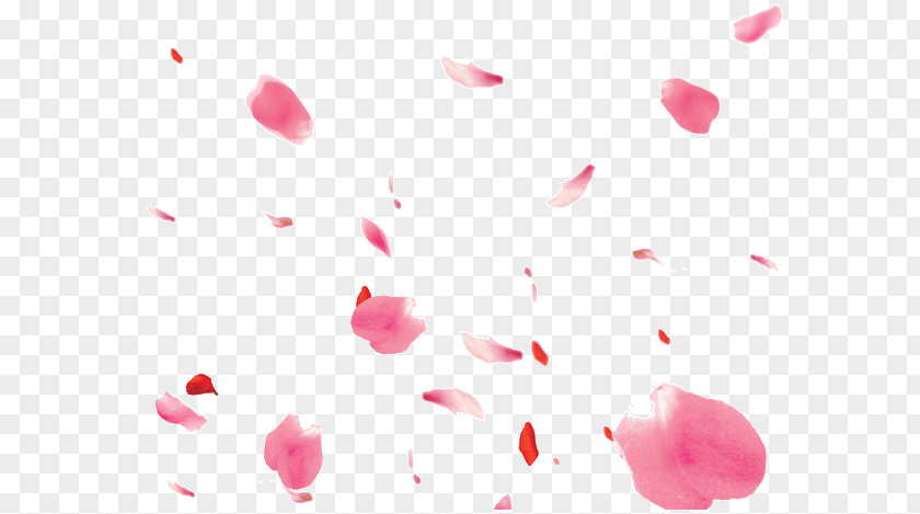 Floating Petals Petal PNG