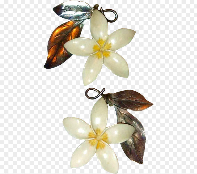 Jewellery Flower PNG