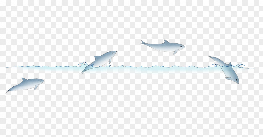 Little Fresh Dolphin Illustration Stock PNG