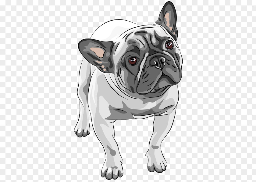 Puppy Clipart French Bulldog American Bullenbeisser Pug PNG