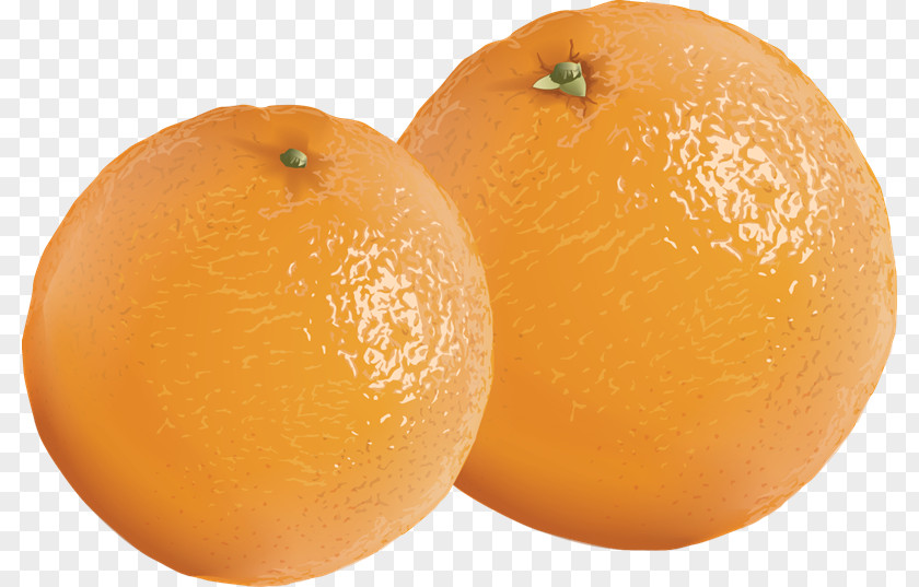 Realistic Strawberry Tangerine Mandarin Orange Clementine Tangelo PNG
