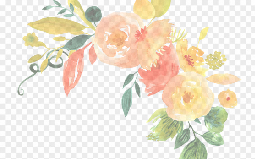 Rose Family Flowering Plant PNG