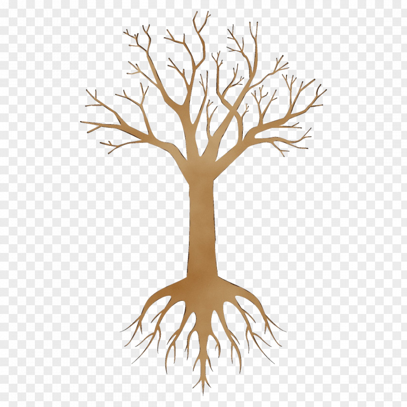 Twig Grass Tree Root Branch Plant Leaf PNG