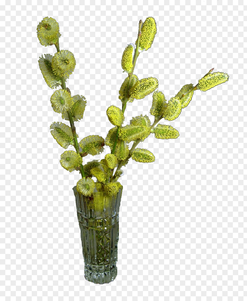 Willow Palm Sunday Flower Bouquet Clip Art PNG