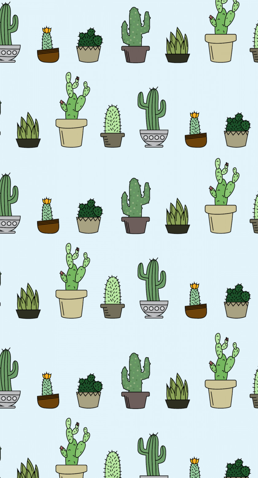 Cactus Desktop Wallpaper Cactaceae Succulent Plant Home Screen PNG