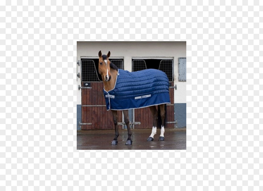 Horse Blanket Surcingle Quilt PNG