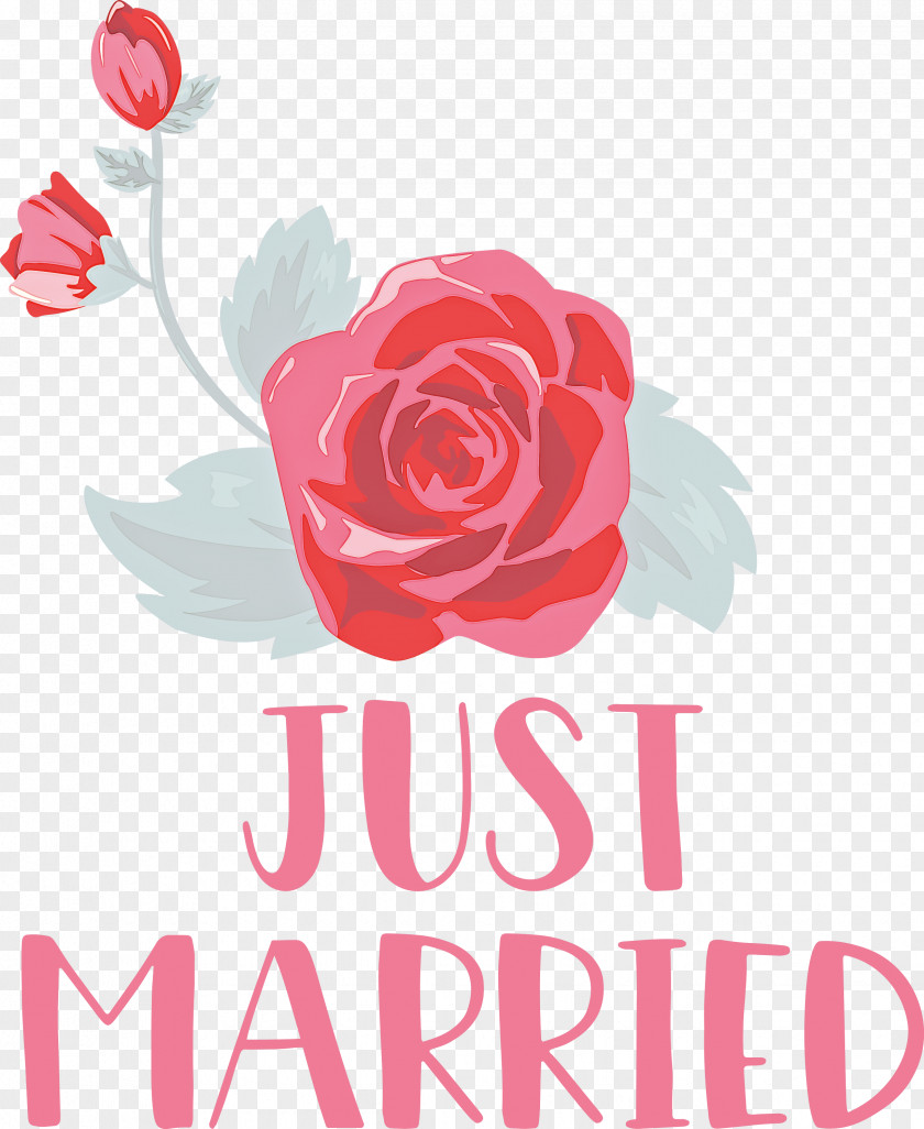 Just Married Wedding PNG