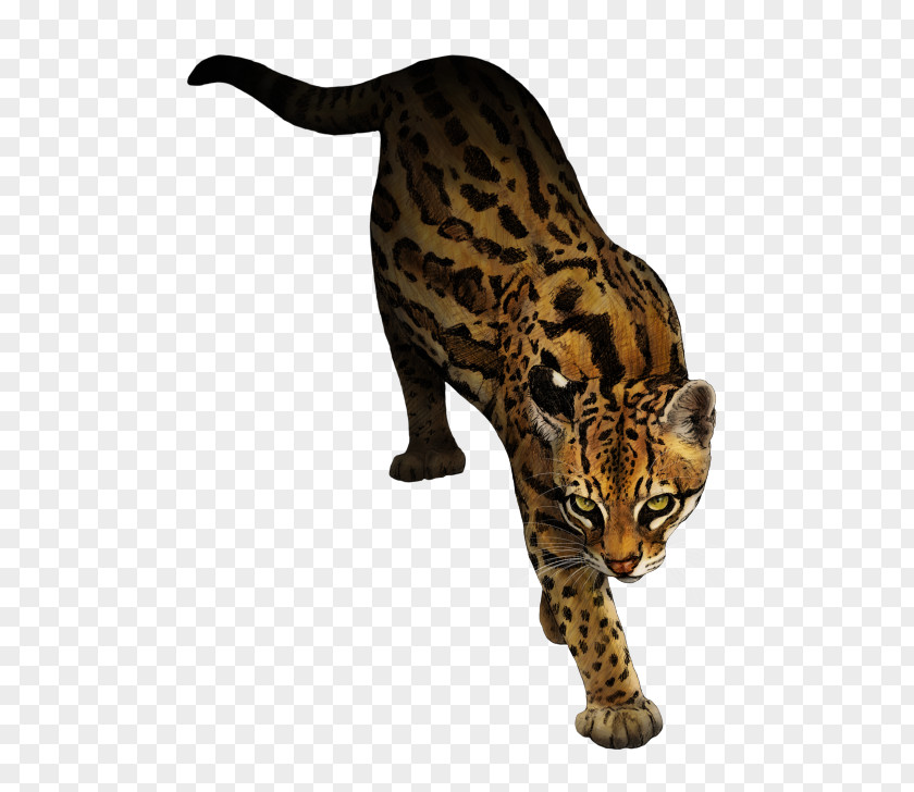 Mew Ocelot Marbled Cat Animal Rottweiler PNG