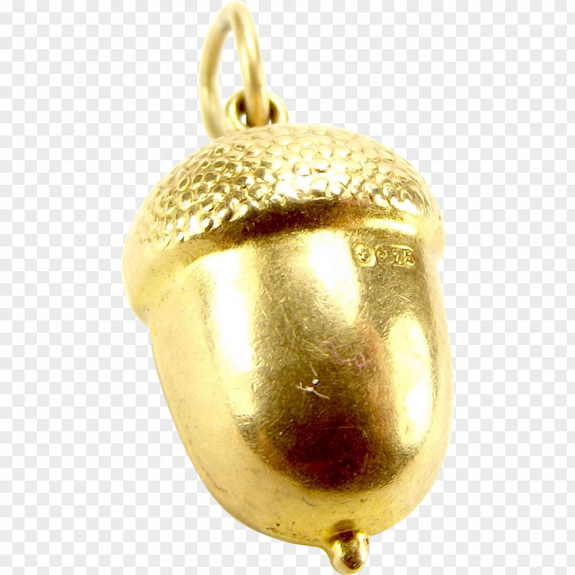 Acorn Charms & Pendants Jewellery Gold Metal Charm Bracelet PNG