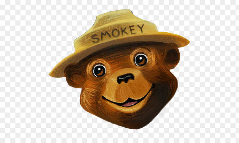 Bear Smokey And The Campfire Kids Wildfire PNG