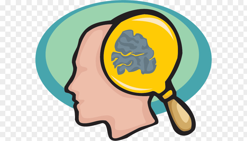 Brain Work Cliparts Beautiful Human Clip Art PNG