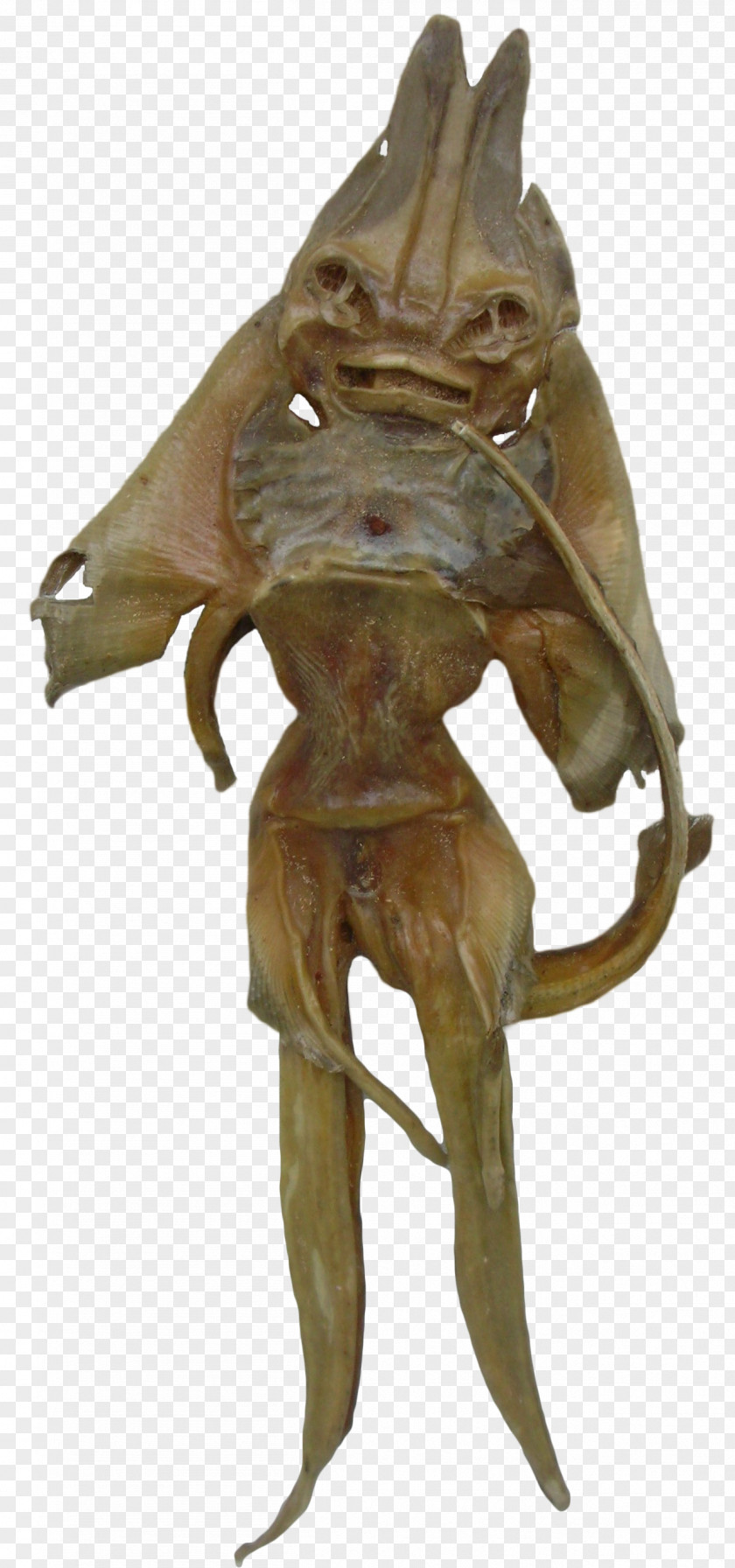 Dried Squid Bronze Sculpture Classical Classicism PNG