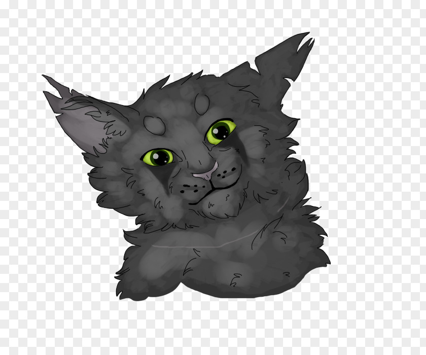 Green Eye Whiskers Korat Kitten Black Cat Snout PNG