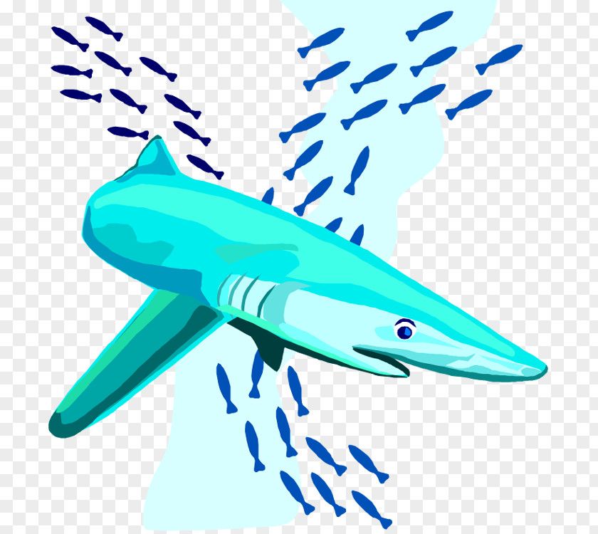 Hammerhead Shark Clipart Free Content Clip Art PNG