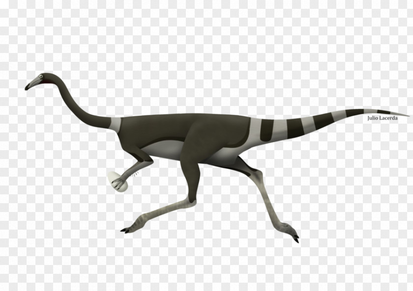Dinosaur Velociraptor Troodon Albinykus Gallimimus PNG
