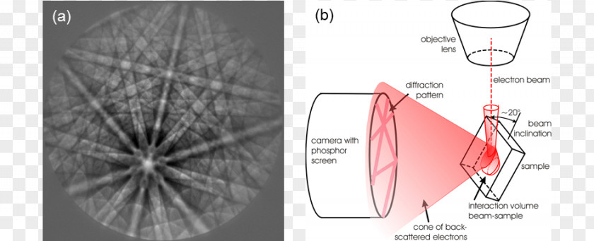 Electron Backscatter Diffraction Kikuchi Line Bragg's Law Crystallography Scanning Microscope PNG