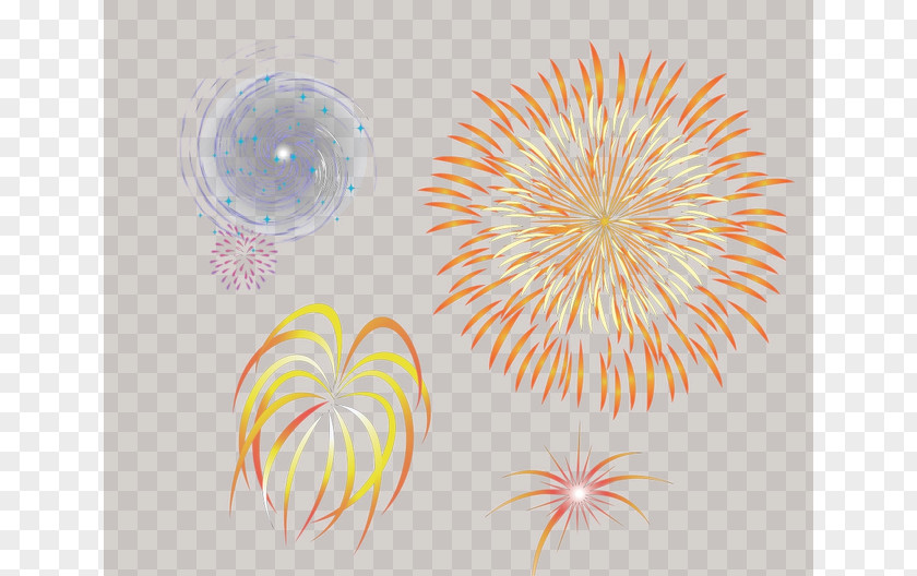 Fireworks Graphic Design Close-up Petal Pattern PNG