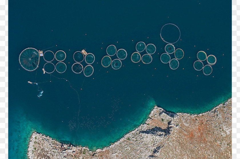 Fish Farm Aerial Photography Photographer Farming PNG