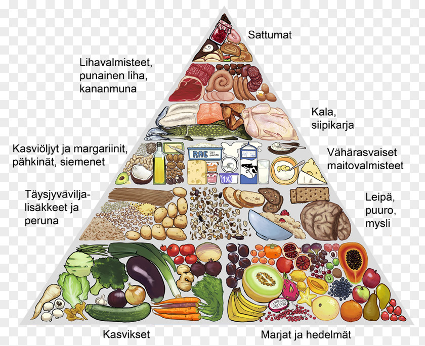 Food Group Theseus PDF PNG