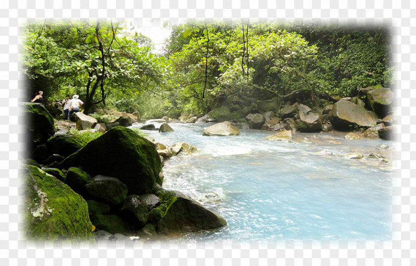 Park Waterfall Water Resources Nature Reserve Vegetation Riparian Zone PNG