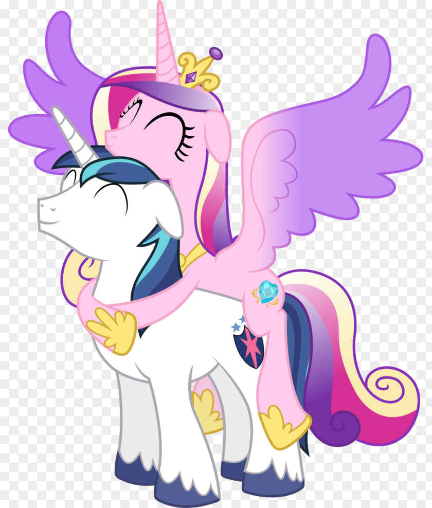 Shining Princess Cadance Pony Armor Twilight Sparkle Celestia PNG