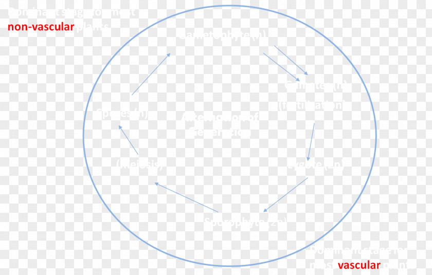 Circle Point Angle PNG