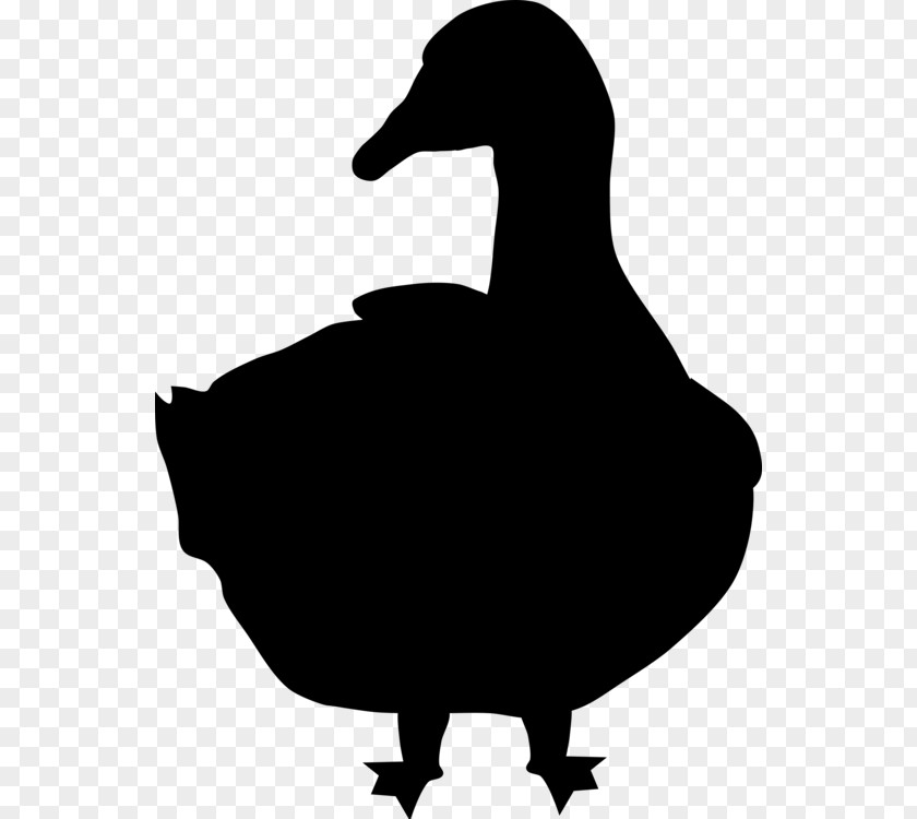 Duck Goose Clip Art Silhouette Bird PNG