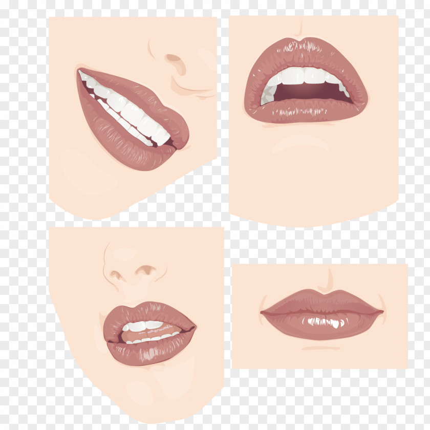 Face Lips Lip Tooth PNG