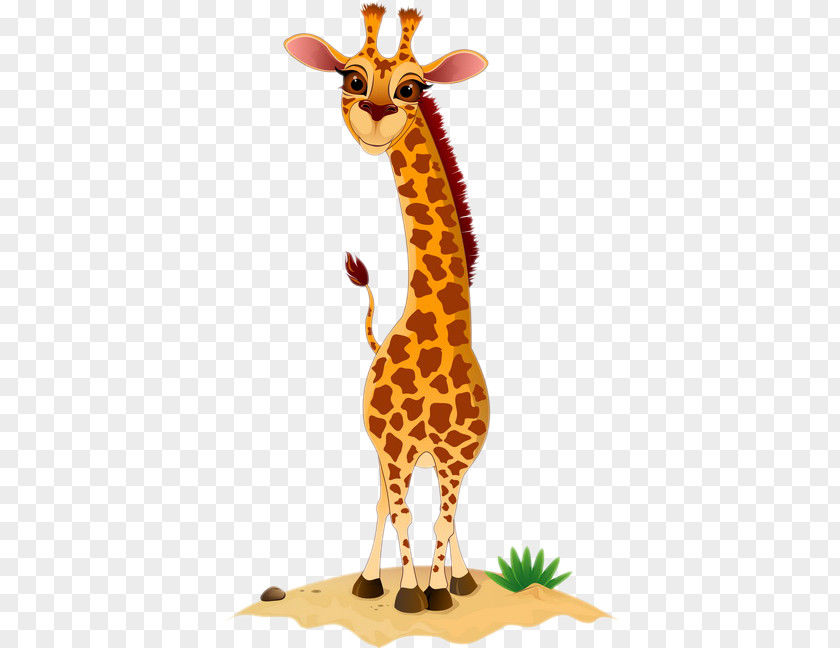 Giraffe Northern Fauna Neck Terrestrial Animal PNG