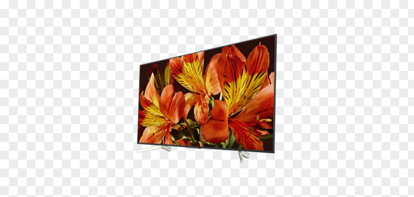 High Dynamic Range Smart TV LED-backlit LCD 4K Resolution Ultra-high-definition Television Sony XF8505 PNG