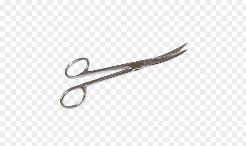 Scissors Surgical Surgery Curve Nipper PNG