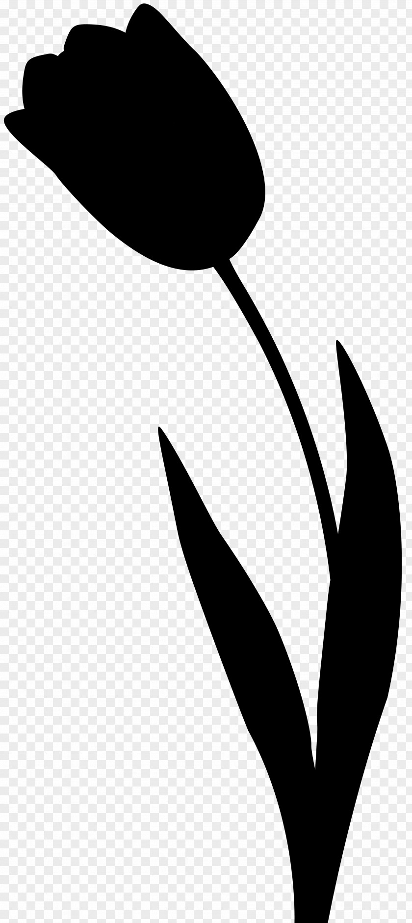 Clip Art Silhouette Line Leaf Plant Stem PNG