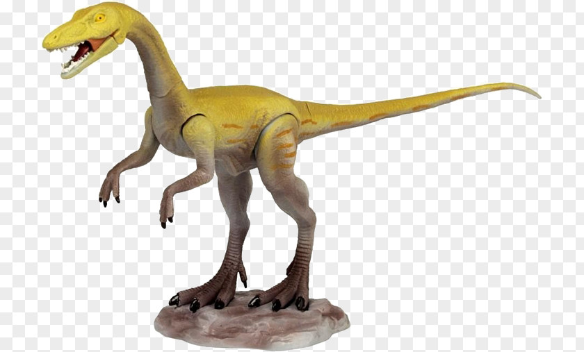 Dinosaur Velociraptor Tyrannosaurus Apatosaurus Coelophysis Giganotosaurus PNG