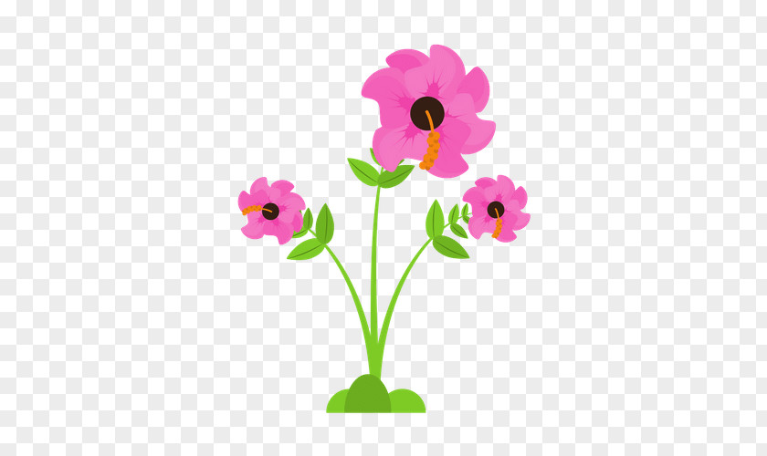 Flower Photography PNG