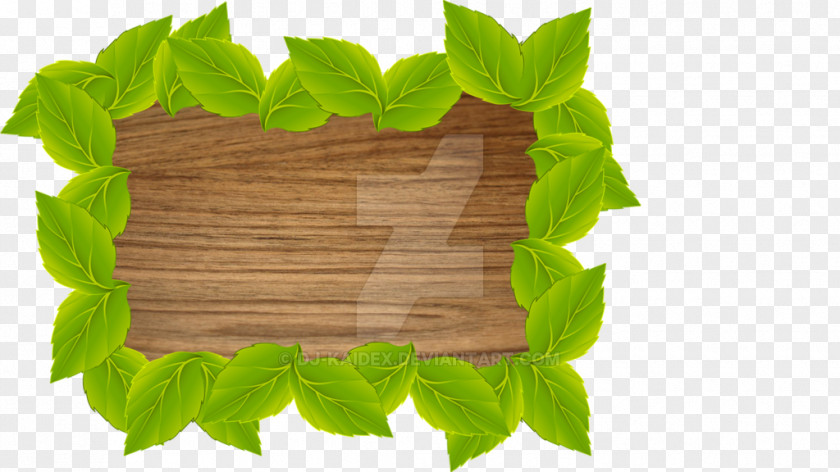 Leaf Drawing Photography PNG