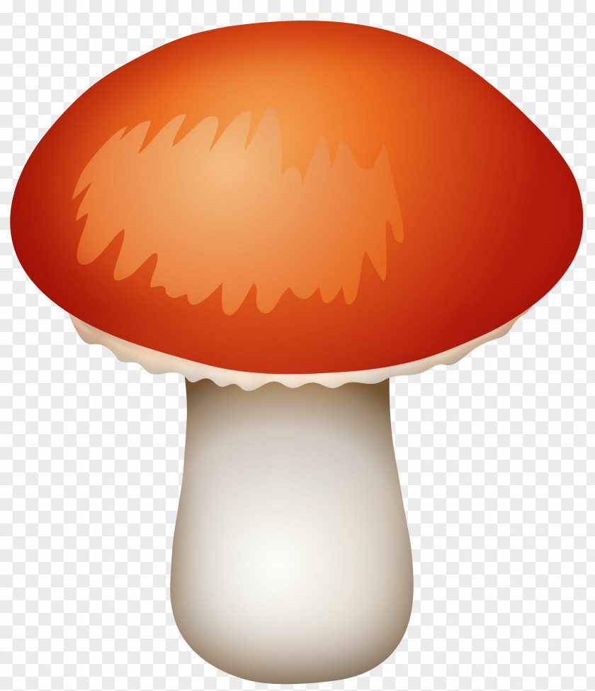 Mushroom Common Fungus Clip Art PNG