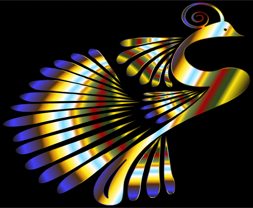 Peacock Peafowl Color Public Domain Clip Art PNG