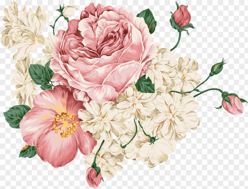 Peony Flower Download Clip Art PNG