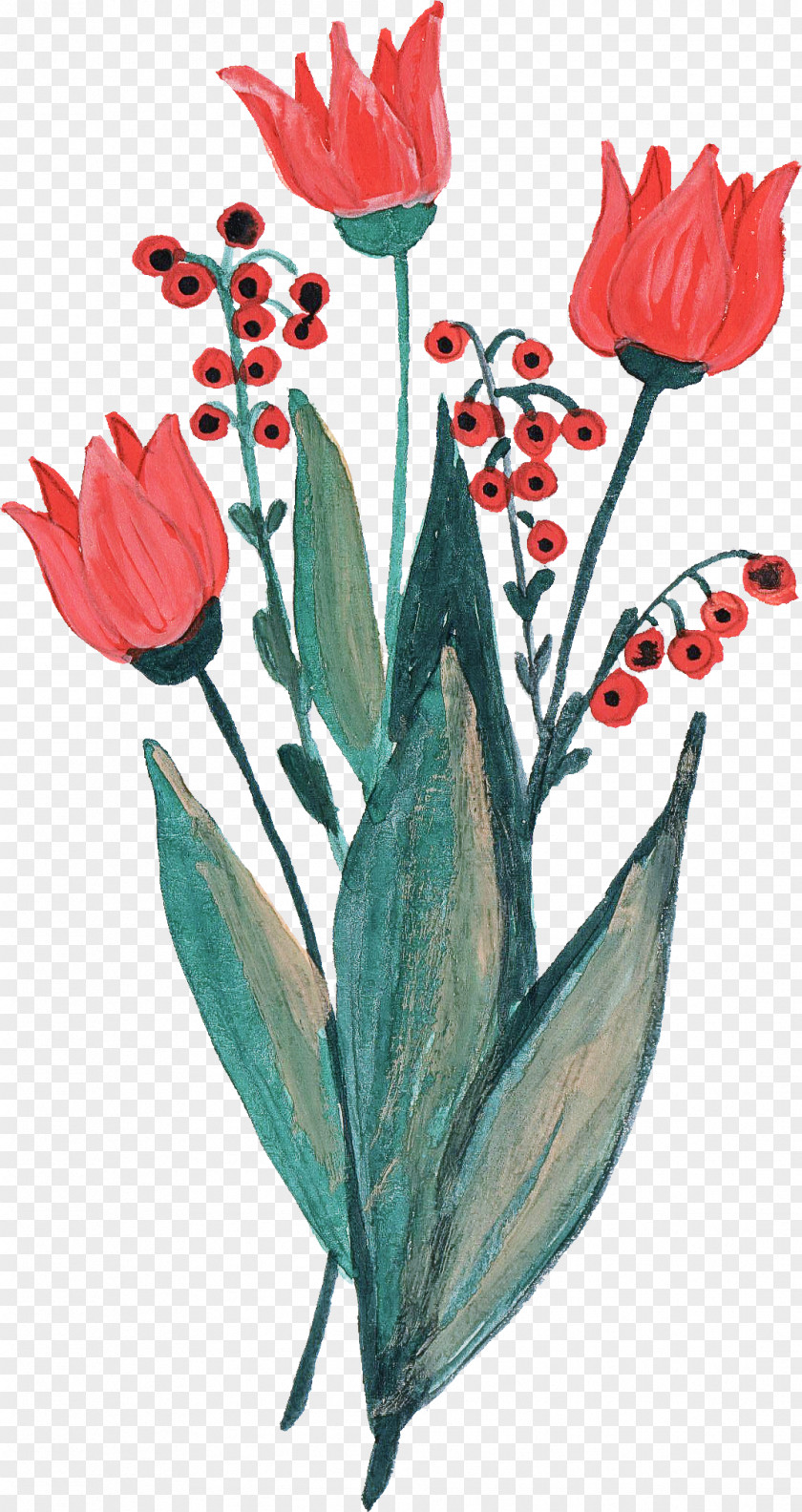 Plant Stem Pedicel Flower Flowering Tulip Leaf PNG