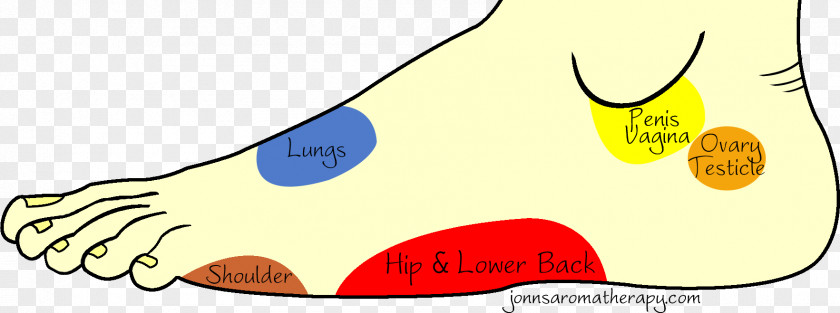 Variant Cancer Cell Clip Art Illustration Shoe Jaw Snout PNG