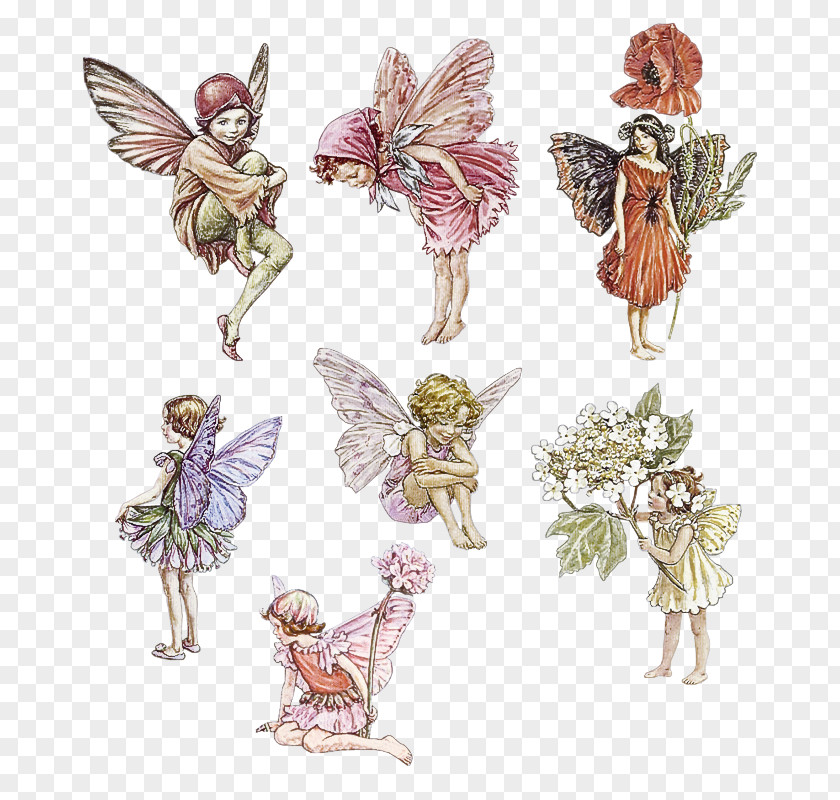 Wing Costume Design Angel Plant PNG