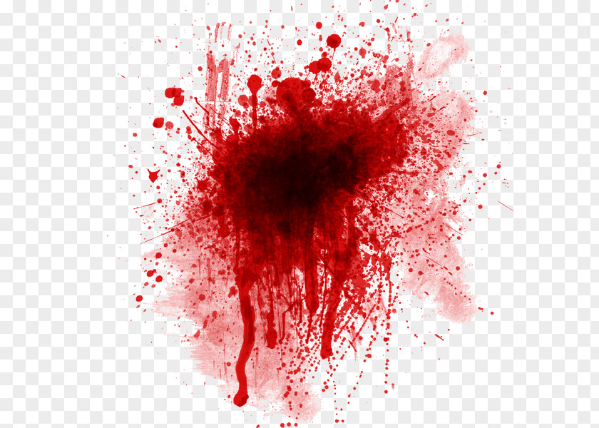 Blood Bloodstain Pattern Analysis Clip Art PNG